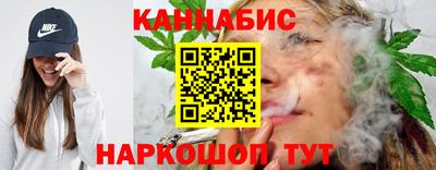 мдпв Татарск