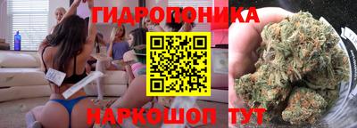 мдпв Татарск